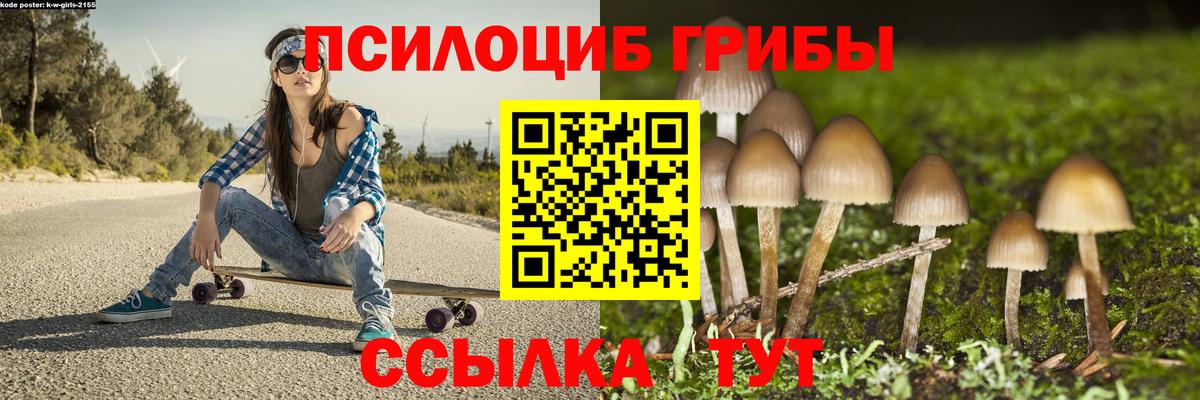 Галлюциногенные грибы ЛСД Бор