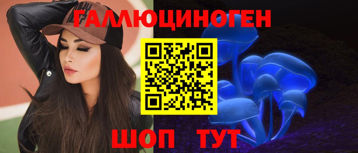 Бор  Галлюциногенные грибы Psilocybine cubensis  Вход с VPN  Галлюциногенные грибы Psilocybine cubensis 